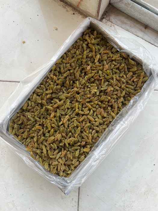 تصویر 4 از کشمش سبز قلمی خلیل آباد خوش رنگ و طعم طبیعی